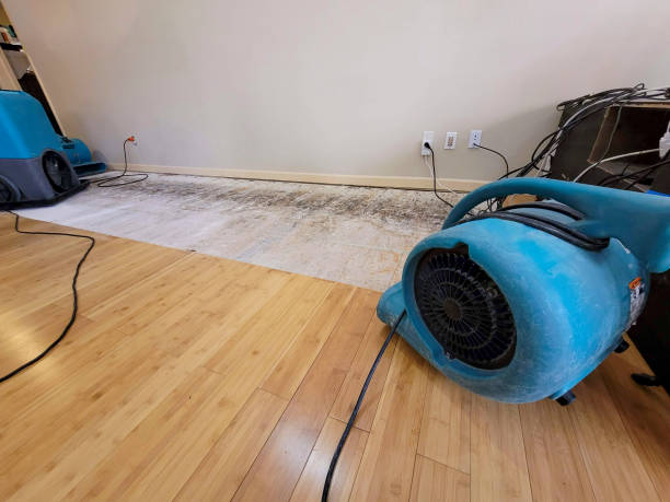 Professional Flood Damage Cleanup technician working in Millersport, OH